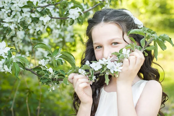 Brunette Fille Marche Dans Jardin Pommes Fleurs Printemps — Photo