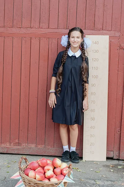 Girl with big ruler — Stock Photo, Image