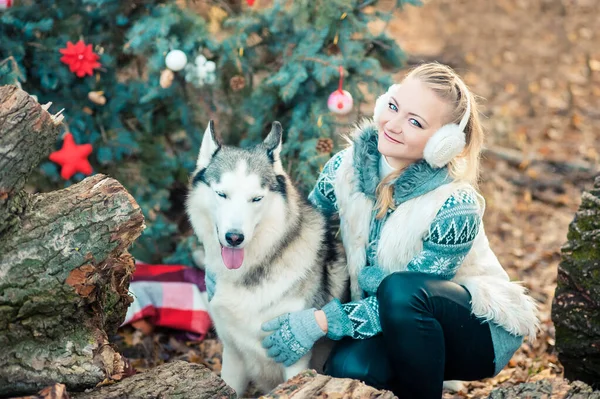 Menina sentada no parque de inverno e olhando para husky siberiano perto da árvore de Natal ao ar livre. — Fotografia de Stock