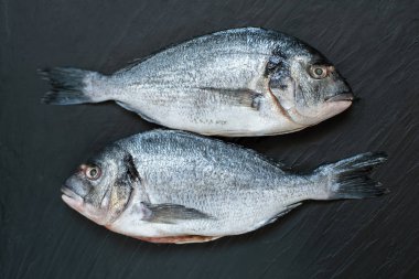 Koyu arka planda çiğ balık dorado pişirmeye hazır.