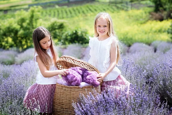 Enfants dans un champ de lavande attrapant un nuage de laine. — Photo