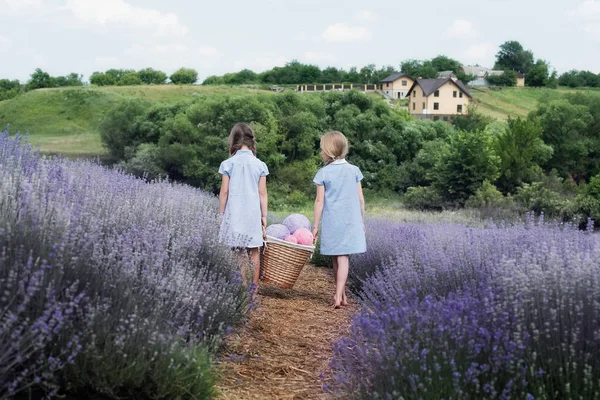 Anak-anak di lapangan lavender menangkap awan wol. — Stok Foto