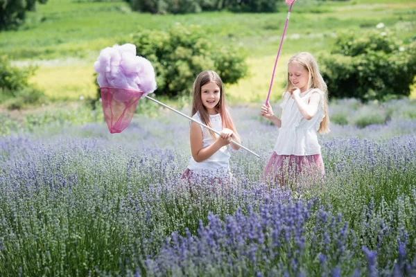 Enfants dans un champ de lavande attrapant un nuage de laine. — Photo