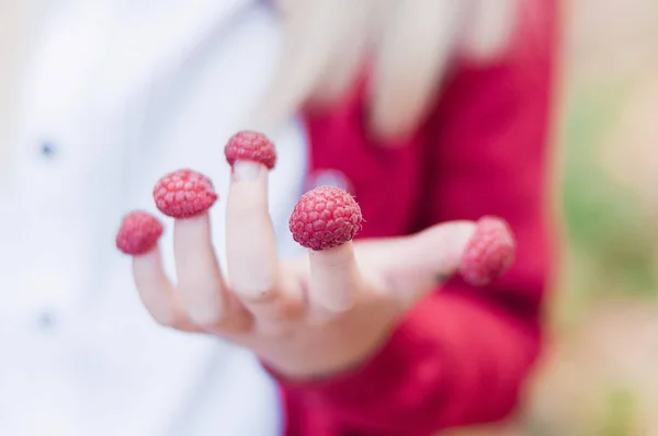 Little child's hand with raspberries on fingers — Stock Photo, Image