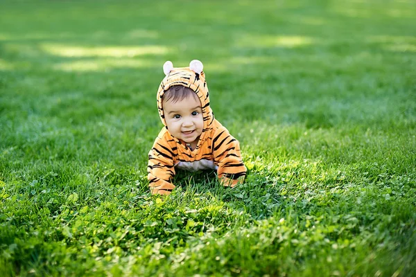 Bébé garçon mignon portant un costume de tigre assis dans l'herbe au parc . — Photo