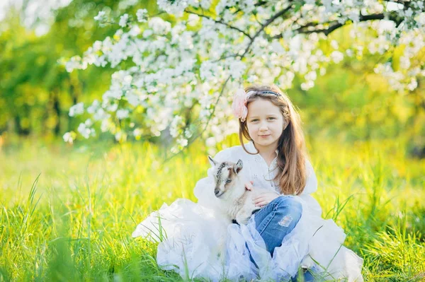 Девушка с козой сидит в траве в пышном яблоневом саду — стоковое фото