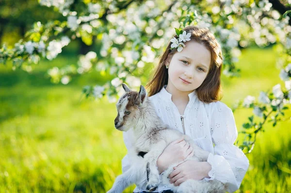 Девушка с козой сидит в траве в пышном яблоневом саду — стоковое фото