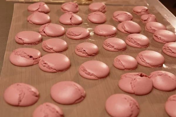 Macaroons shells in a tray fresh from oven — Stock Photo, Image