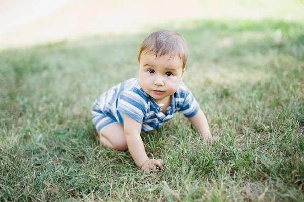 7 month child crawls on grass in yard, — ストック写真