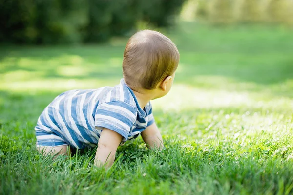 7 month child crawls on grass in yard, — ストック写真