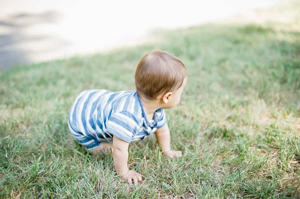 7 month child crawls on grass in yard, — ストック写真