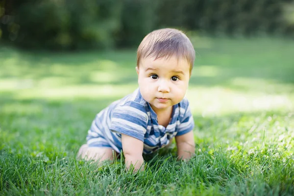 7 měsíců dítě plazí na trávě na dvoře, — Stock fotografie