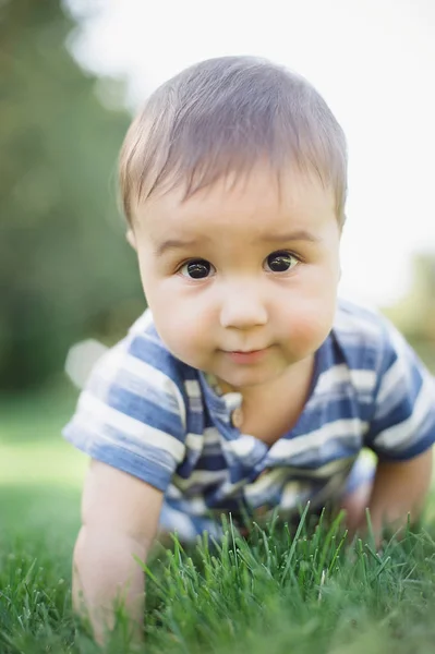 7 maanden kind kruipt op gras in de tuin, — Stockfoto