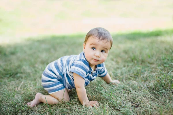 7 maanden kind kruipt op gras in de tuin, — Stockfoto