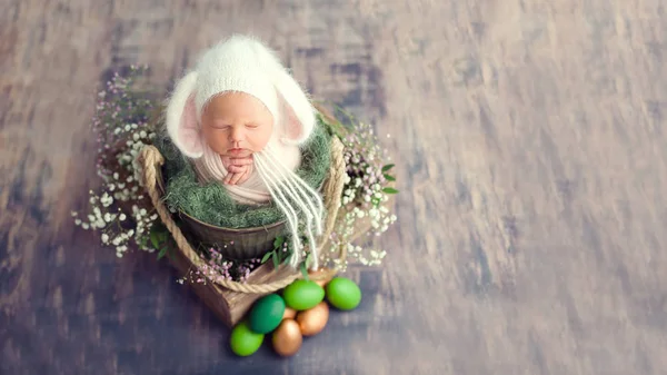 Bebê Recém Nascido Dias Traje Coelho Páscoa Dormindo Cesta Início — Fotografia de Stock