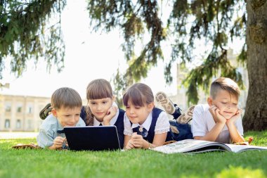 Group Of Elementary School Children Working Together on nature at park doing homework on laptop