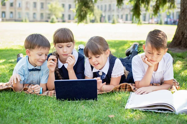 Group Of Elementary School Children Working Together on nature at park doing homework on laptop — Stok fotoğraf