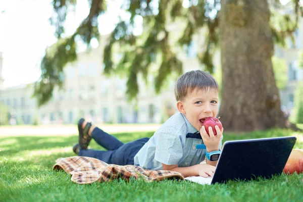 Groep basisschool kinderen Samenwerken aan de natuur in het park huiswerk maken op laptop — Stockfoto