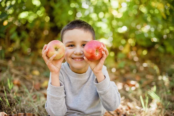 Children with Apple in Orchard. Harvest Concept.