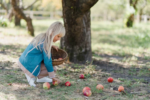 Діти з Apple в саду. Поняття жнив. — стокове фото