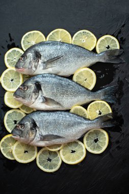 Raw fish hake. Five Raw fish fillet with organic fresh tomatoes on ice on dark background,