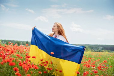 Girl carries fluttering blue and yellow flag of Ukraine in field. clipart
