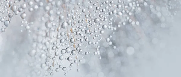 Schöne Tautropfen auf einem Löwenzahn-Makro. Schöne weiche Hintergrund. Wasser tropft auf einen Fallschirm Löwenzahn. Kopierraum. weiche Konzentration auf Wassertröpfchen. runde Form, abstrakter Hintergrund — Stockfoto