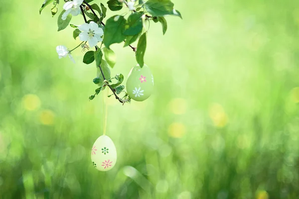 Ovo Páscoa Decorativo Pendurado Árvore Floração Antecedentes Celebração Familiar Tradições — Fotografia de Stock