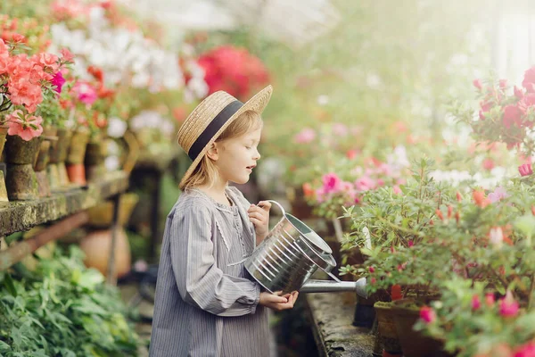 Маленька Дівчинка Садівник Поливом Може Доглядати Рослинами Азалії Теплиці — стокове фото