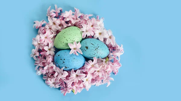 Osterhintergrund Mit Blauen Ostereiern Nest Der Frühlingsblumen Draufsicht Mit Kopierraum — Stockfoto