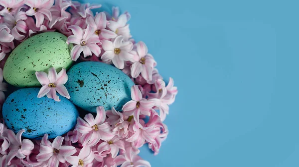 Fundo Páscoa Com Ovos Páscoa Azuis Ninho Flores Primavera Vista — Fotografia de Stock