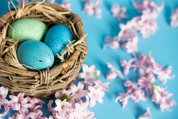 Latar Belakang Paskah Dengan Telur Paskah Biru Sarang Bunga Musim — Stok Foto