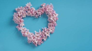 Çiçek kompozisyonu. Mavi arka planda kalp çerçevesi şeklinde Hyacinth Pembe çiçeklerinden yapılmış bir çelenk. Paskalya, bahar, yaz, sevgililer günü konsepti. Düz konum, üst görünüm, kopyalama alanı. Çiçek kartı.