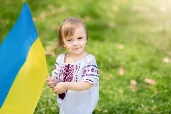 Little Girl Traditional Embroidery Carrying Fluttering Blue Yellow Flag Ukraine — Stock Photo, Image