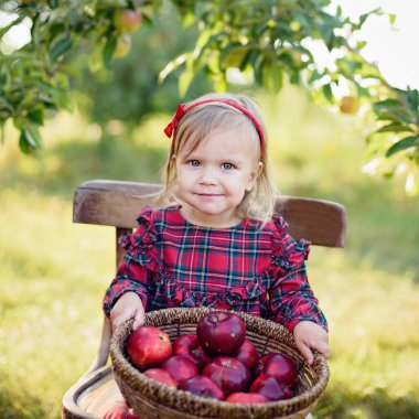 Sonbaharda çiftlikte elma toplayan bir çocuk. Elma ağacı bahçesinde oynayan küçük bir kız. Sağlıklı beslenme. Tatlı küçük kız kırmızı lezzetli meyve yiyor. Hasat Konsepti.
