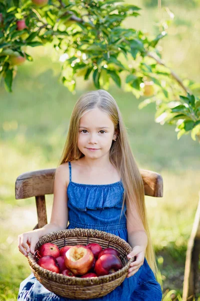 Cute Little Girl Holding Basket Red Picked Apples While Sitting — Stock Photo, Image