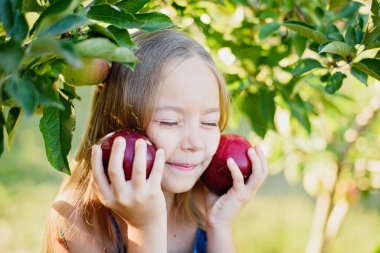 Tatlı küçük kız sonbahar bahçesinde dikilirken yanaklarının yanında kırmızı elmalar tutuyor ve eğleniyor, Hasat Konsepti