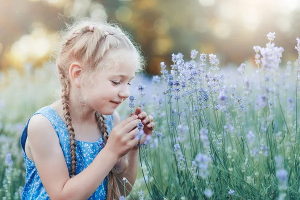 Menina Sorrindo Cheirando Flores Verão Roxo Lavanda Campo Dia Quente — Fotografia de Stock