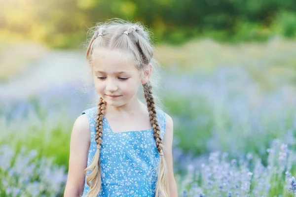Beautiful Happy Girl Walking Lavender Field Warm Summer Day — Stock Photo, Image