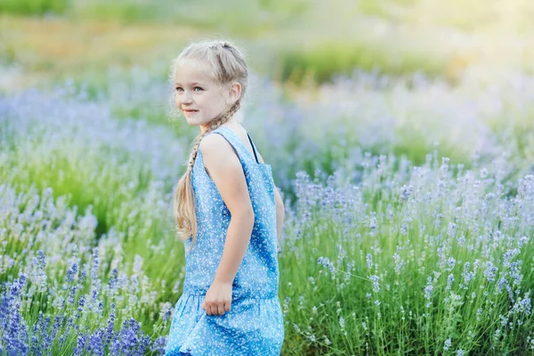 薰衣草田里的小女孩孩子们的幻想在夏天紫色薰衣草田里 微笑着的女孩嗅着花朵 密切关注美丽快乐的金发白人女孩的肖像 快乐的孩子 — 图库照片