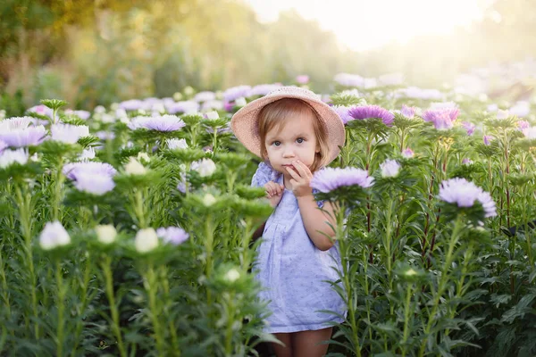 在花田里的女孩 户外肖像 可爱的小女孩 在美丽的花园里开着花 大自然中的儿童 — 图库照片