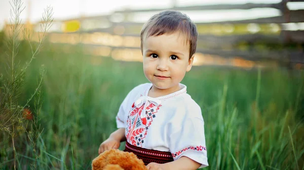 Kozak Enfant Dans Champ Pavot Jour Indépendance Ukraine Jour Drapeau — Photo