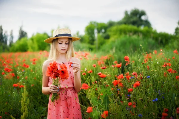 Ukrán Gyönyörű Kislány Gyűjtése Mák Nyári Mező Napsütéses Napon — Stock Fotó