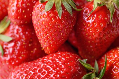 Taze olgun kırmızı çileklere yakın çekim, seçici odak