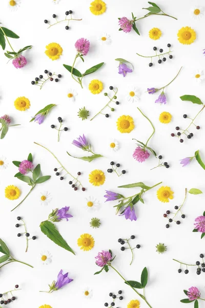 Flower Pattern Wildflowers Composition Flowers Plants Top View Floral Abstract — Stock Photo, Image