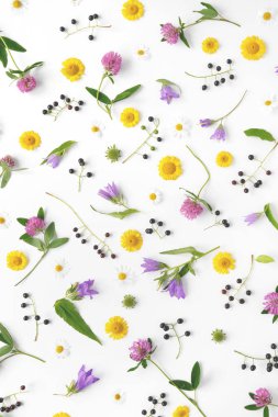 Kır çiçekleri çiçek deseni. Çiçek ve bitkilerin bileşimi. Üstten Görünüm. Çiçek arka plan. Çiçek kavramı. Beyaz arka plan üzerinde izole parlak renkli çiçek