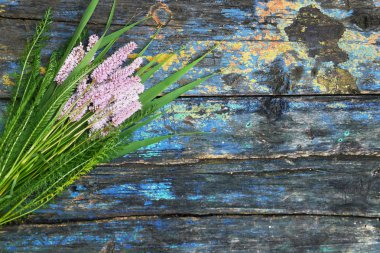 Eski püskü plakalar üzerinde kır çiçekleri ile çiçek tasarım