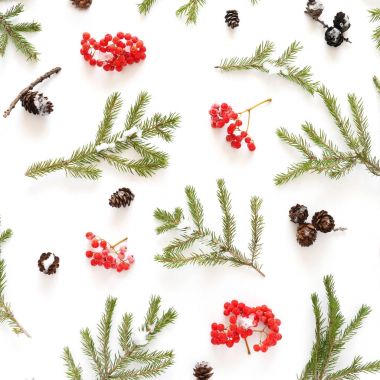 Çam dalları, koni ve ashberries Noel kompozisyonu