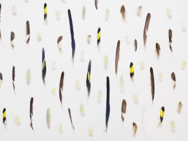 Satranç tahtası şekilde yalan tüy çeşitleri