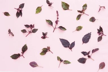 Fesleğenli çiçek kompozisyon, pembe arka plan bırakır 